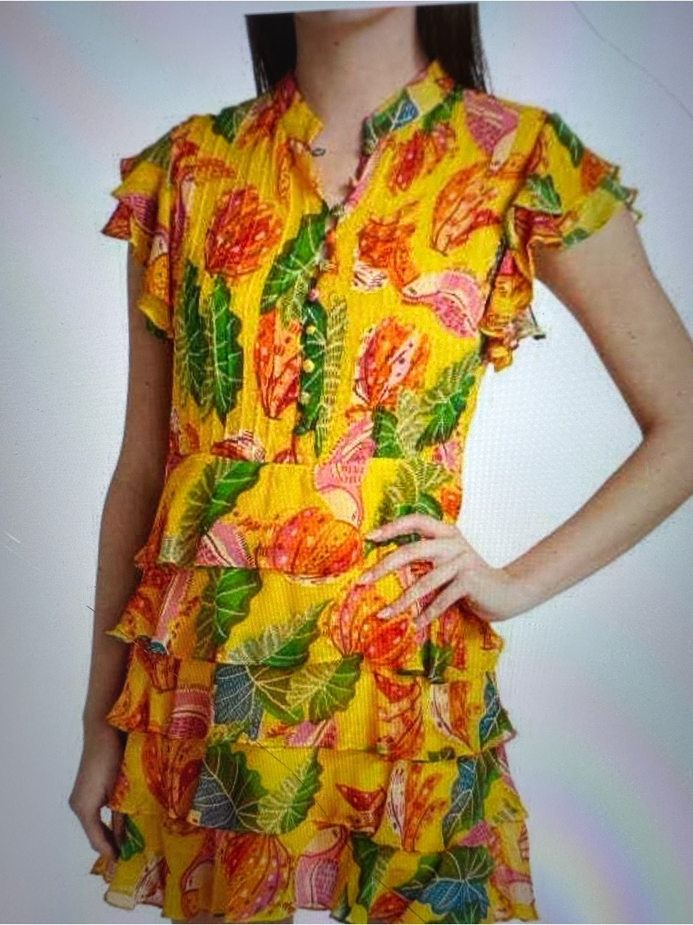 Farm Rio Beaks & Bananas Ruffle Mini Dress NEW - Picture 14 of 16